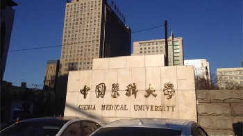 中國藥科大學是985還是211-中國藥科大學是雙一流大學嗎